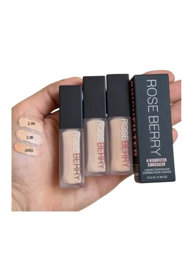 ROSE BERRY High Filter Liquid Concealer, Roseberry G 205 NOUGAT, gives the skin a radiant glow. - Image 1